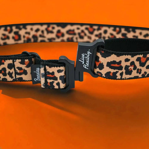 Wonder Belt