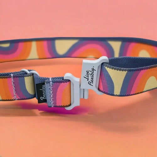 Wonder Belt