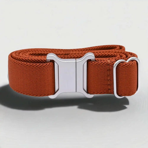 Wonder Belt