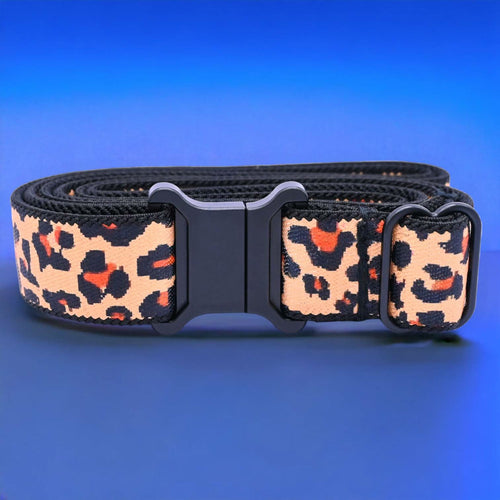 Wonder Belt
